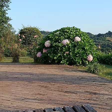 Santa Lucia Bed & Breakfast