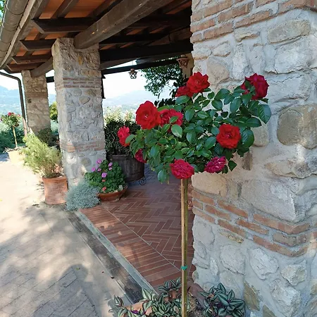 Santa Lucia