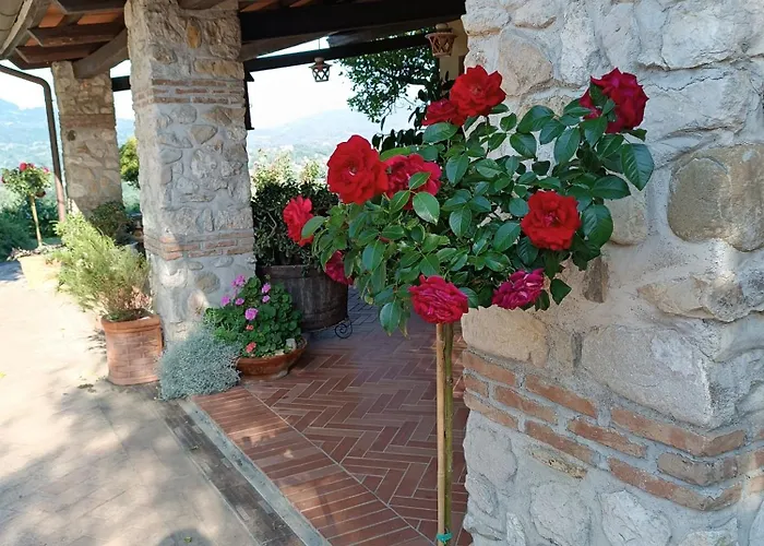 Santa Lucia